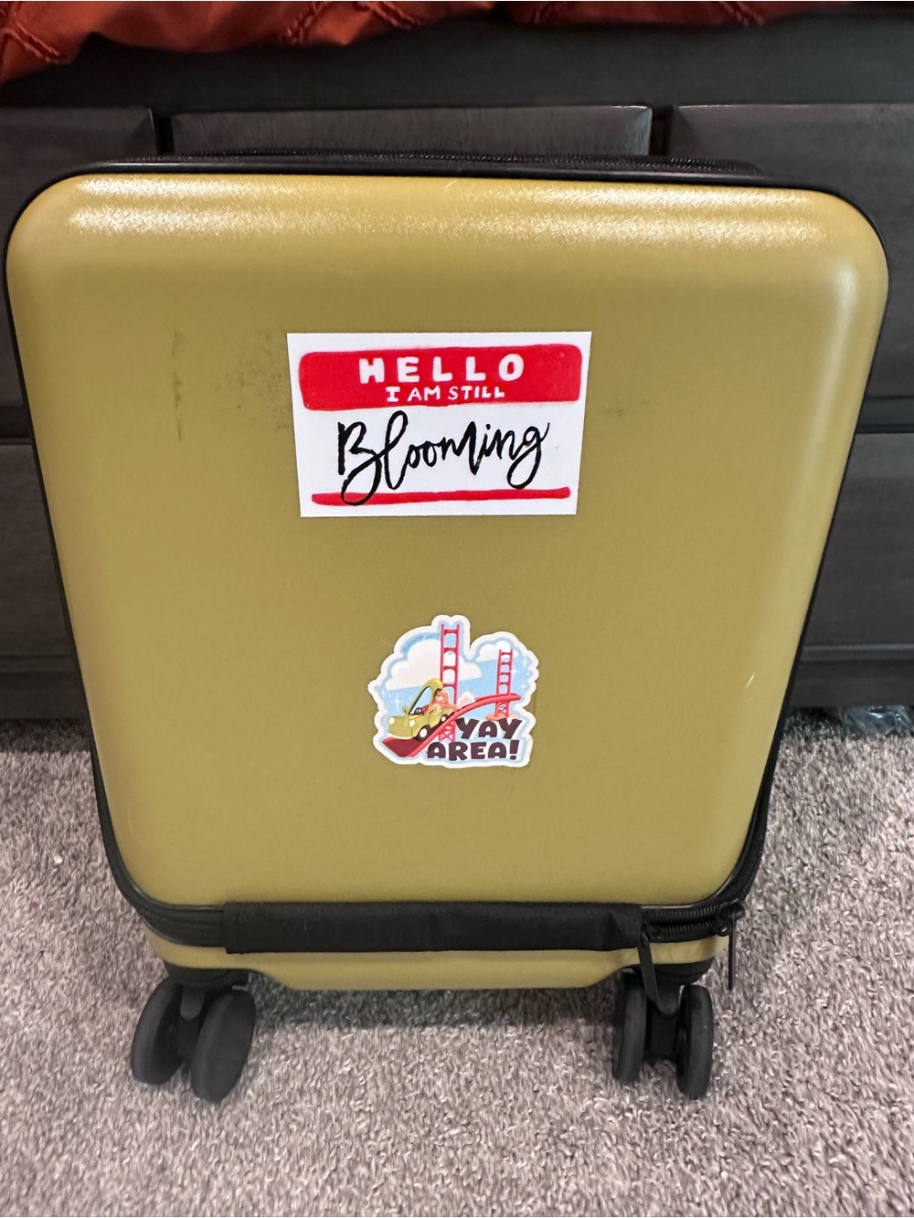 Vera Bradley Green Hardshell Under Seat Carry-On Luggage